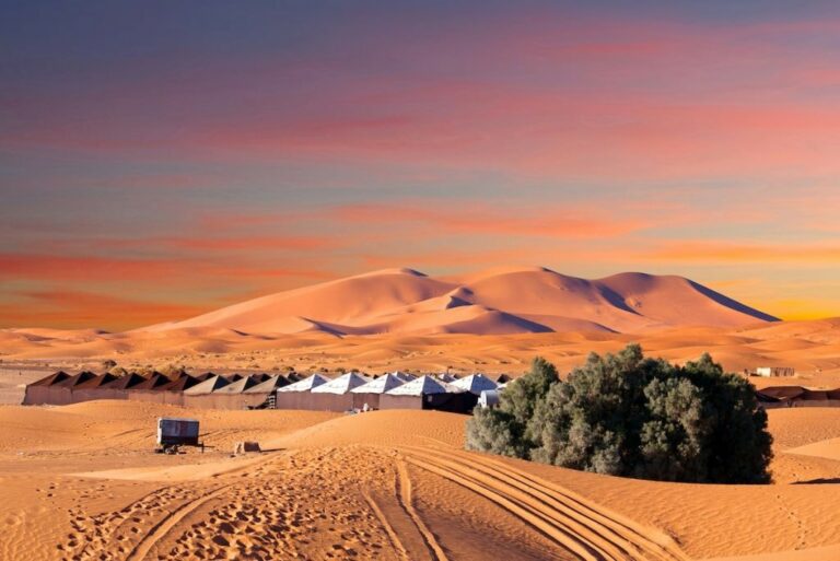 Méharée désert Marocain